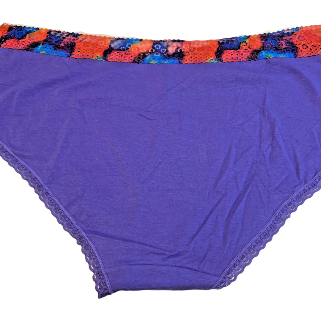 Splendies Prism Lace Bikini Panties Size 4x Purple Rainbow Lingerie Underwear