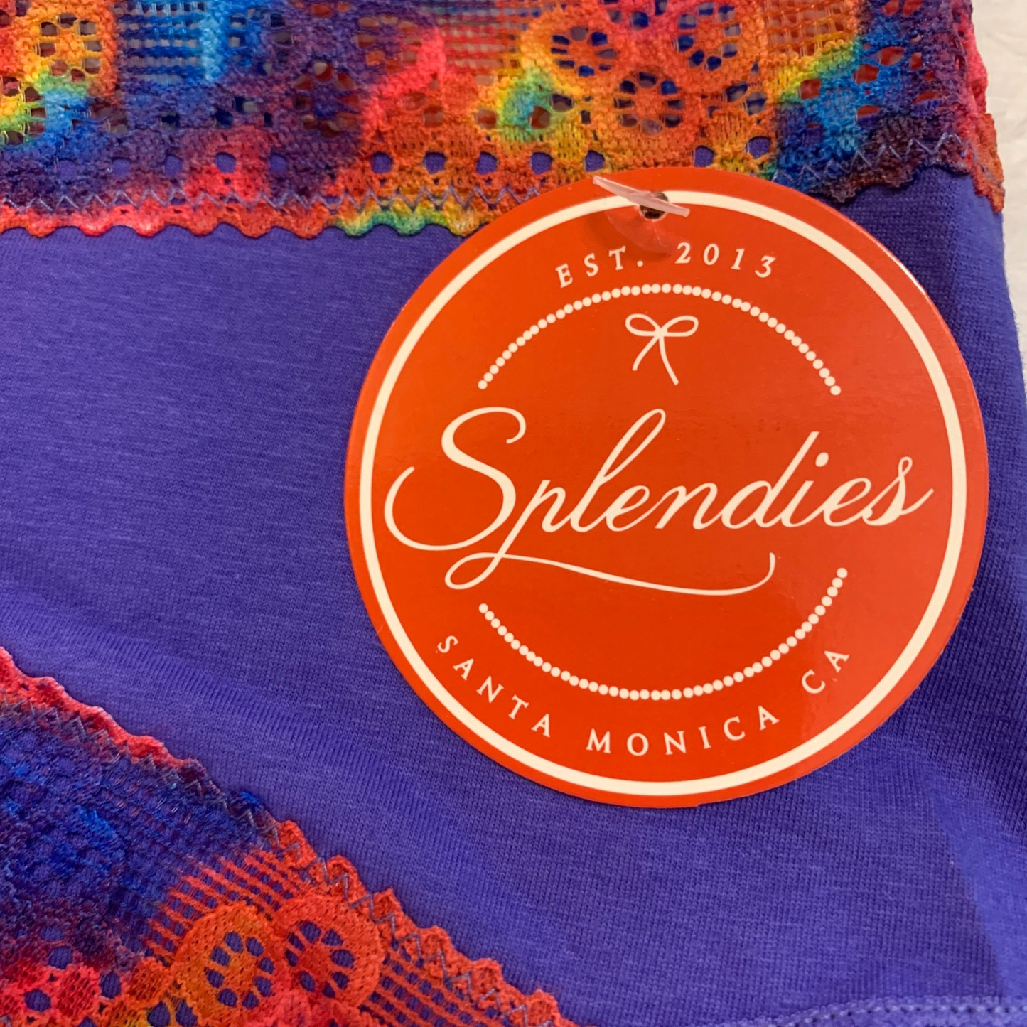 Splendies Prism Lace Bikini Panties Size 4x Purple Rainbow Lingerie Underwear