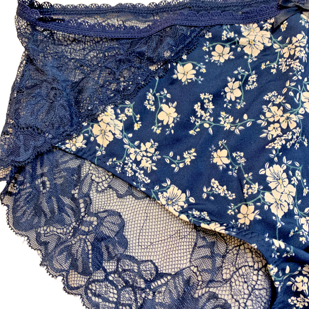 Splendies Sylvie Chic Lace Bikini Panties Size 4x Floral Lingerie Underwear New