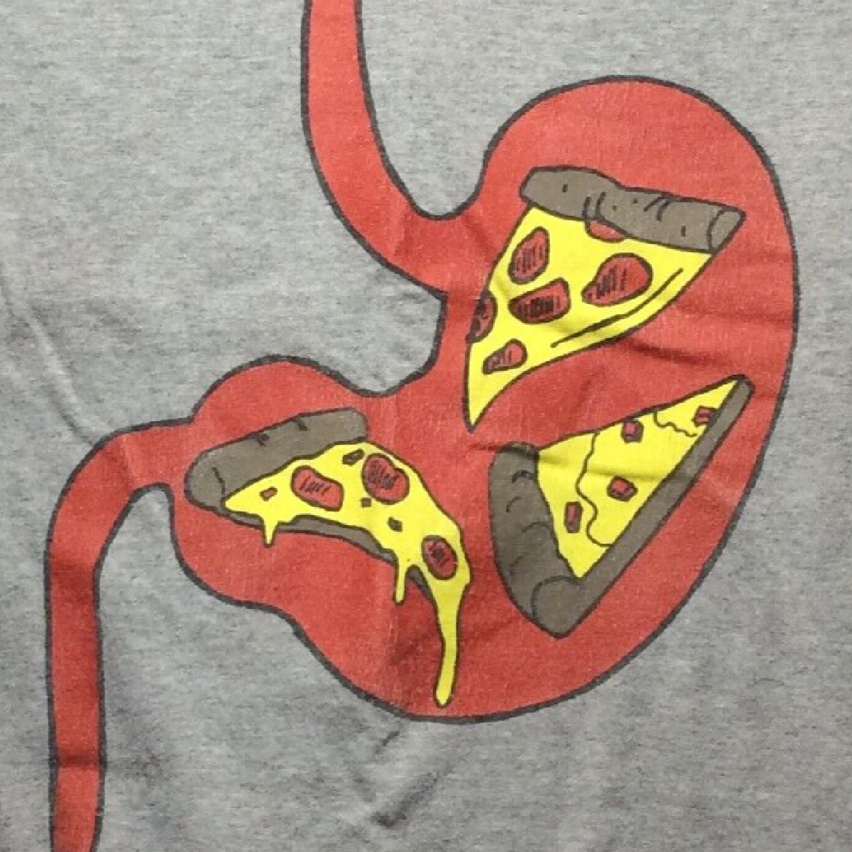 Old Navy Boys Small Size 6/7 Gray Eating Pepperoni Pizza Stomach Digestive Track