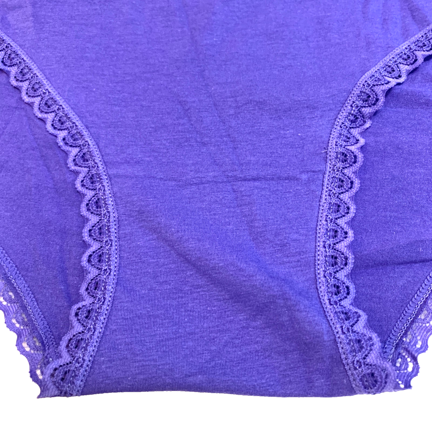 Splendies Prism Lace Bikini Panties Size 4x Purple Rainbow Lingerie Underwear