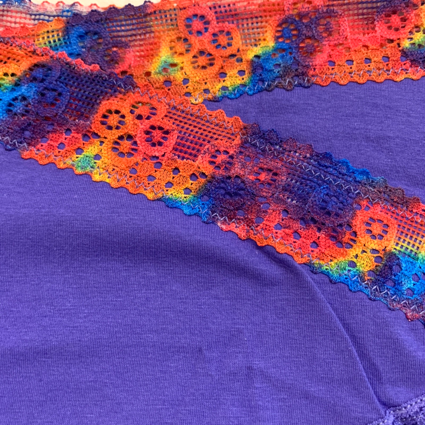Splendies Prism Lace Bikini Panties Size 4x Purple Rainbow Lingerie Underwear