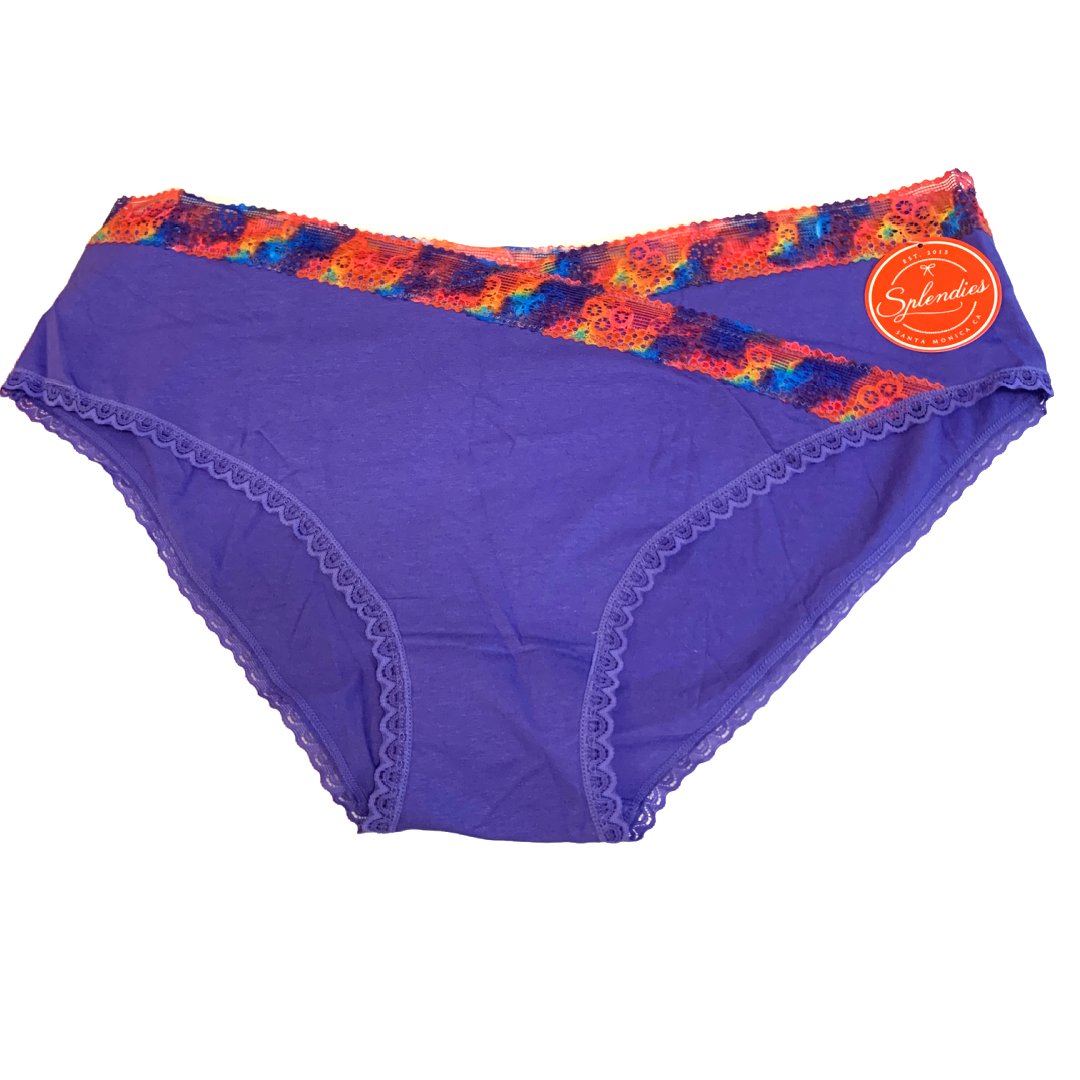 Splendies Prism Lace Bikini Panties Size 4x Purple Rainbow Lingerie Underwear
