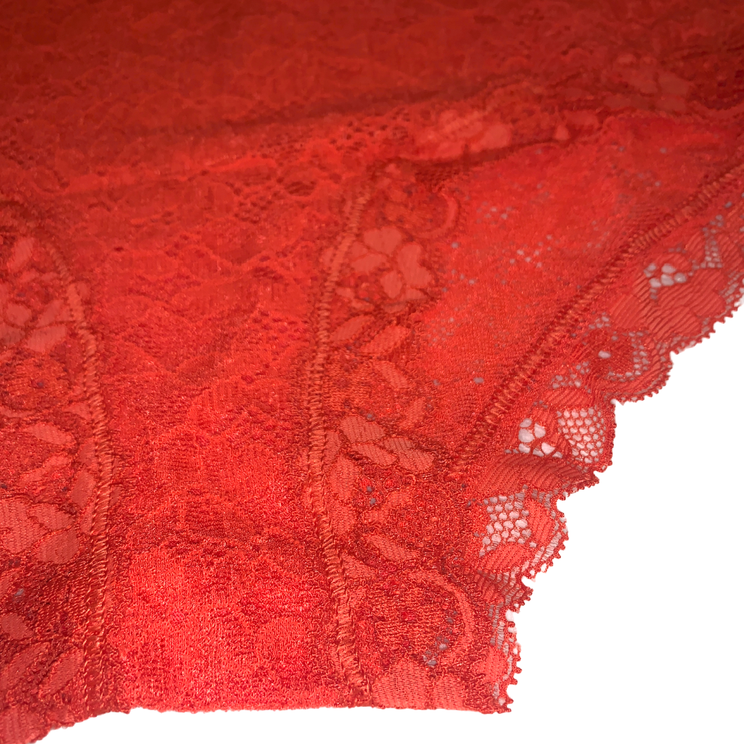 Low-Rise Lace Hipster Panties Lava Color Lingerie 2 Pairs of Underwear NEW Lot