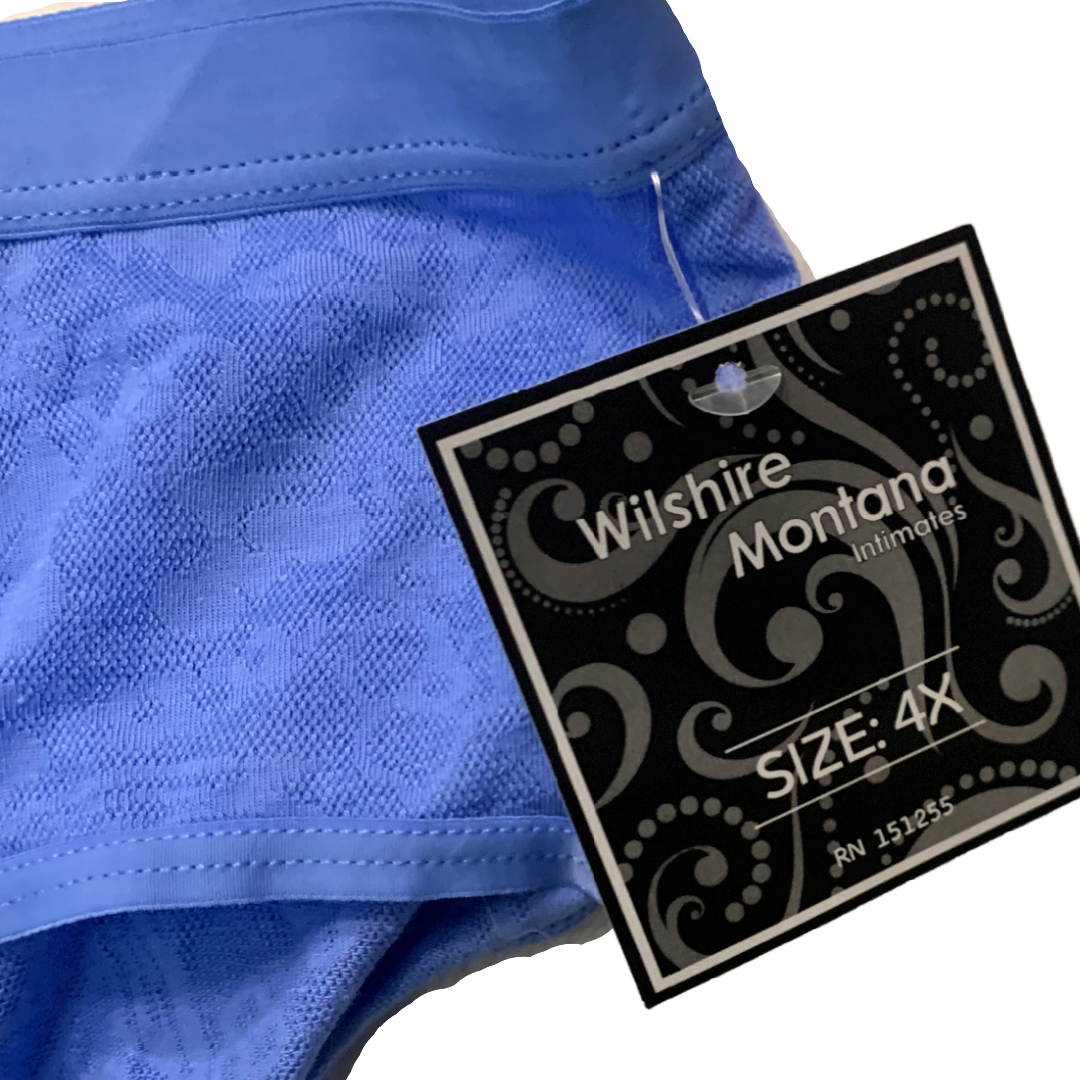 Bikini Panties Size 4X Comfortable Floral Periwinkle Mesh New Lingerie Underwear