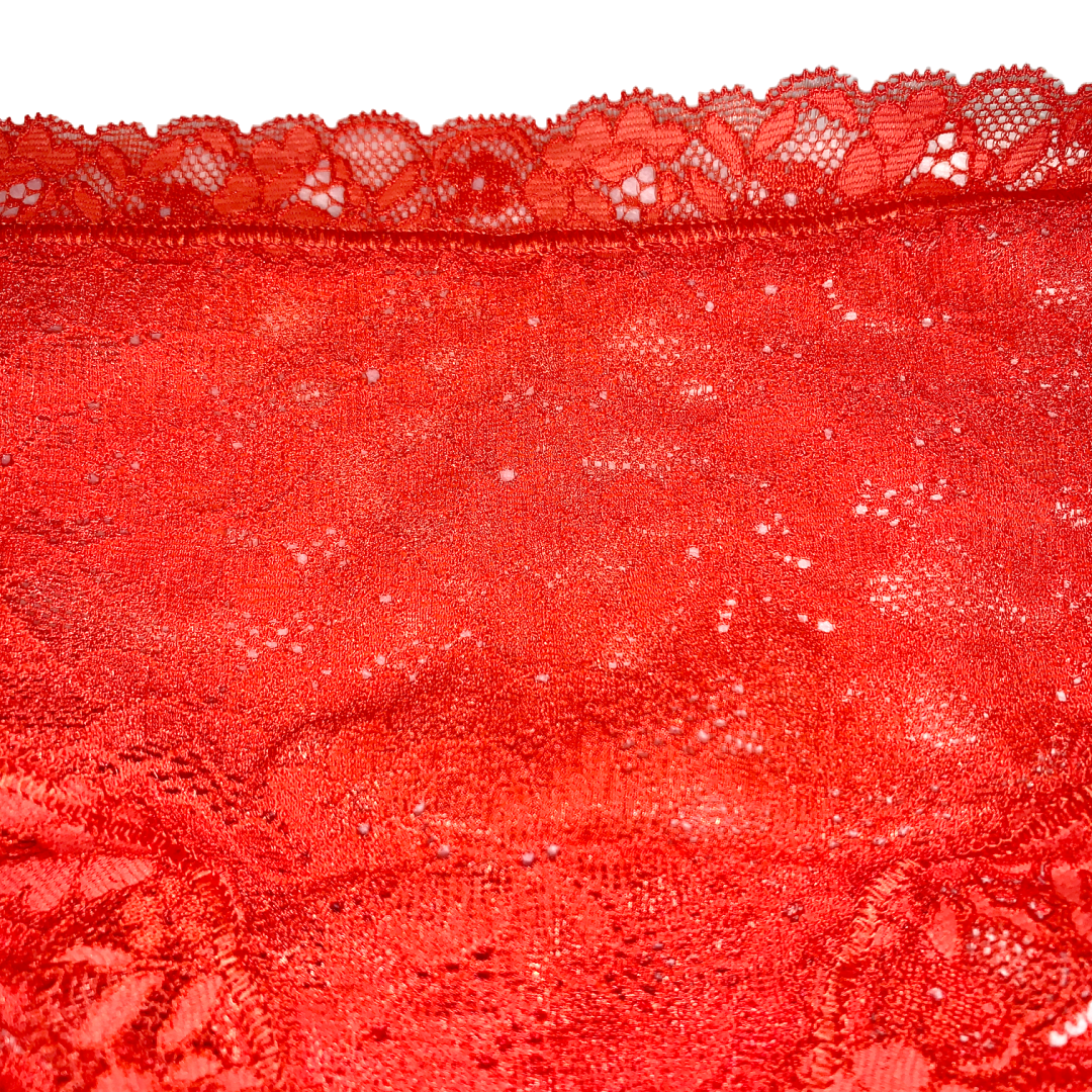 Low-Rise Lace Hipster Panties Lava Color Lingerie 2 Pairs of Underwear NEW Lot