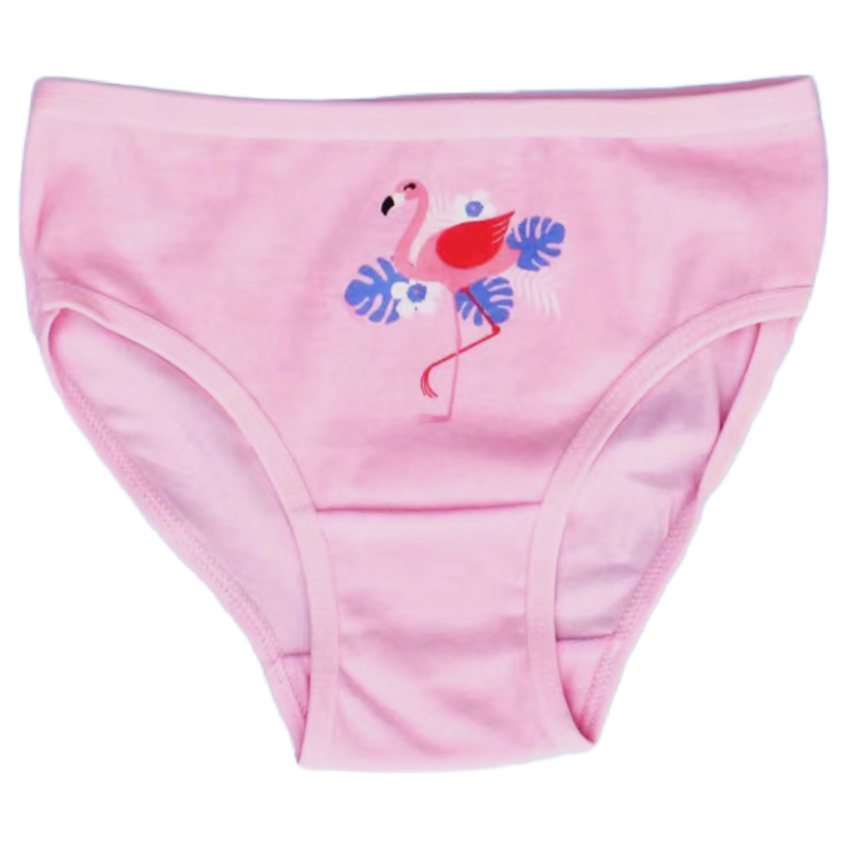 Lot of 4 Pairs of Cotton Brief Panties Stretchy Underwear Girls Unisex Boys NEW