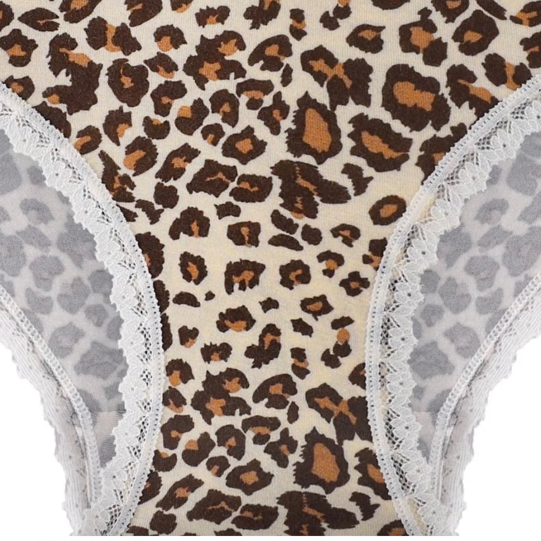Splendies Kaia Leopard Bikini Panties Knit Lace Lingerie NWT