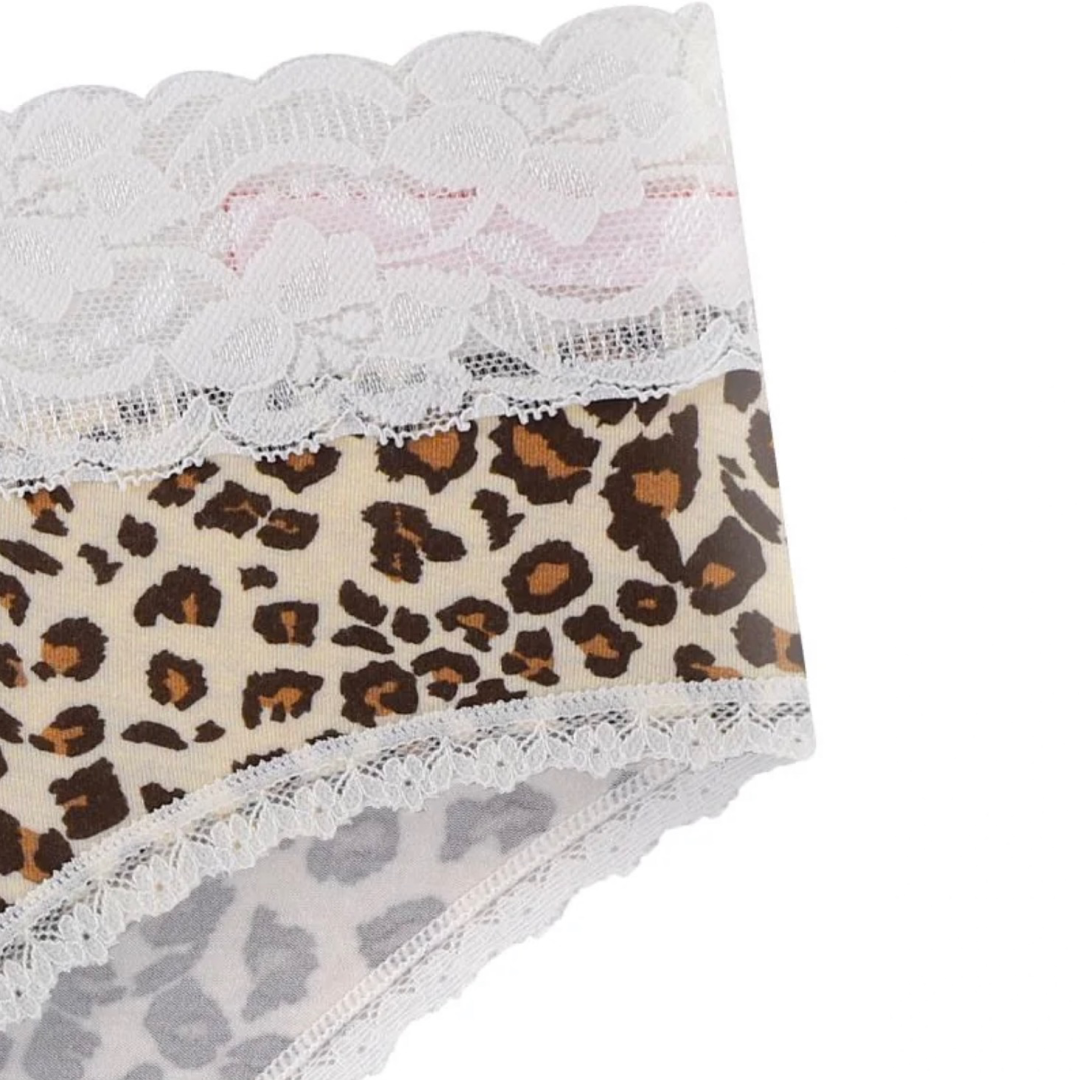 Splendies Kaia Leopard Bikini Panties Knit Lace Lingerie NWT