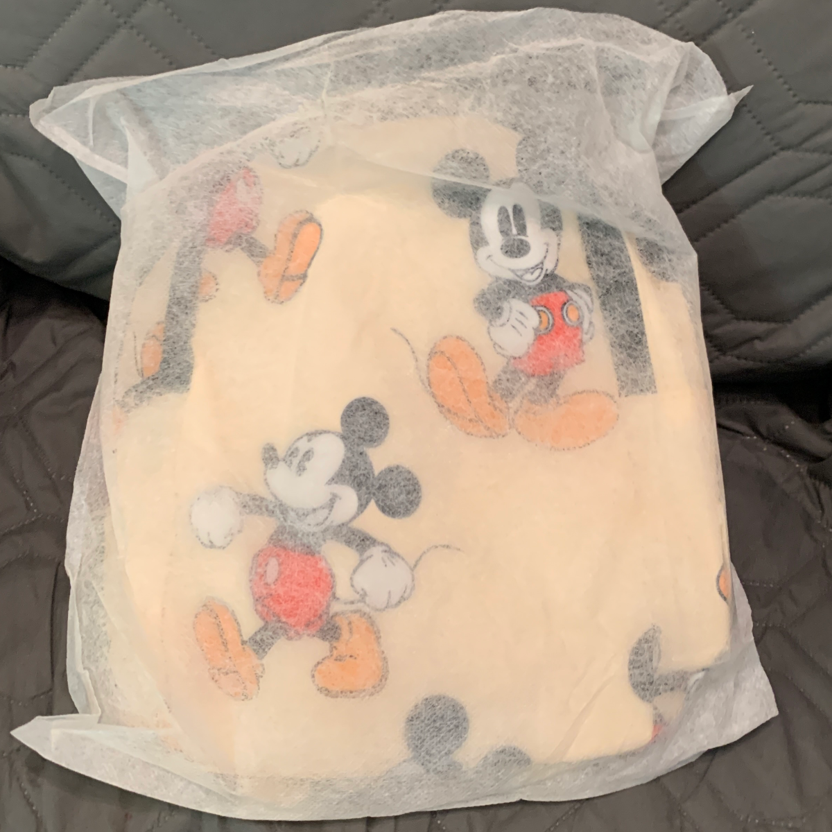 Disney Mickey Mouse Small Backpack Detachable Pouch Neutral Apricot Beige New