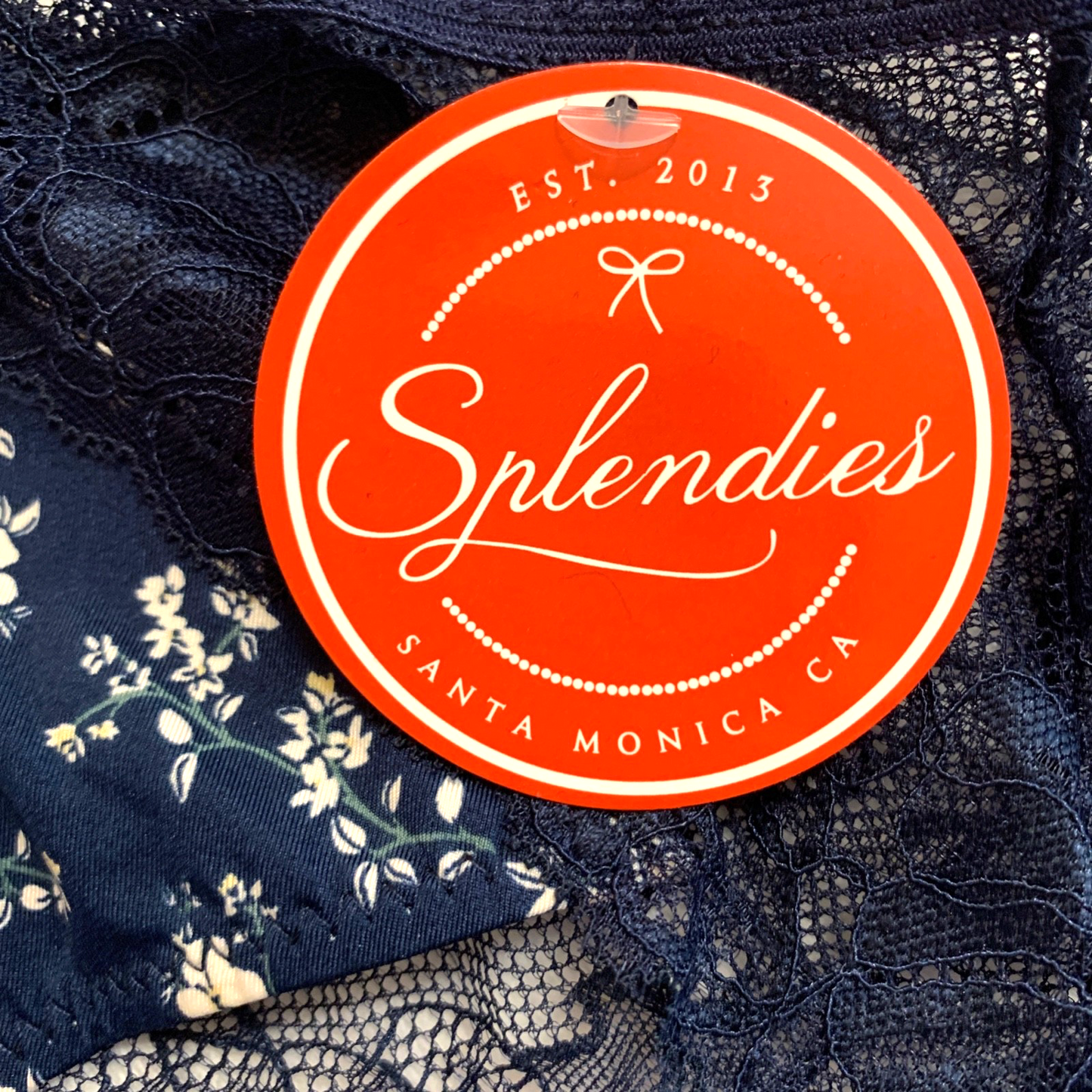 Splendies Sylvie Chic Lace Bikini Panties Size 4x Floral Lingerie Underwear New