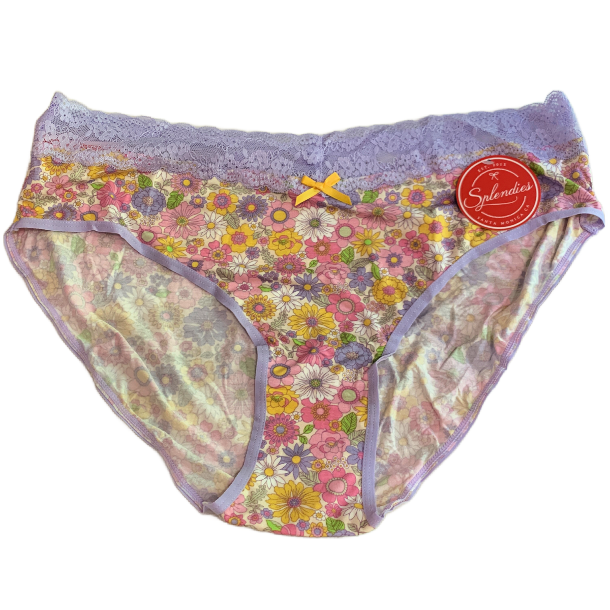 Splendies Floral AMELIA BLOOM BIKINI Panties Size 3X Lace Lingerie New Lot of 2