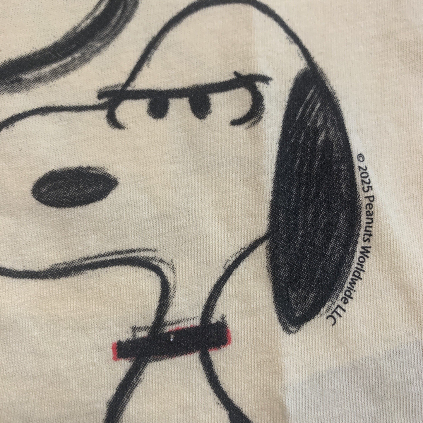 Peanuts Snoopy Charlie Brown Graphic T-Shirt Short Sleeve Toddler Unisex NWT