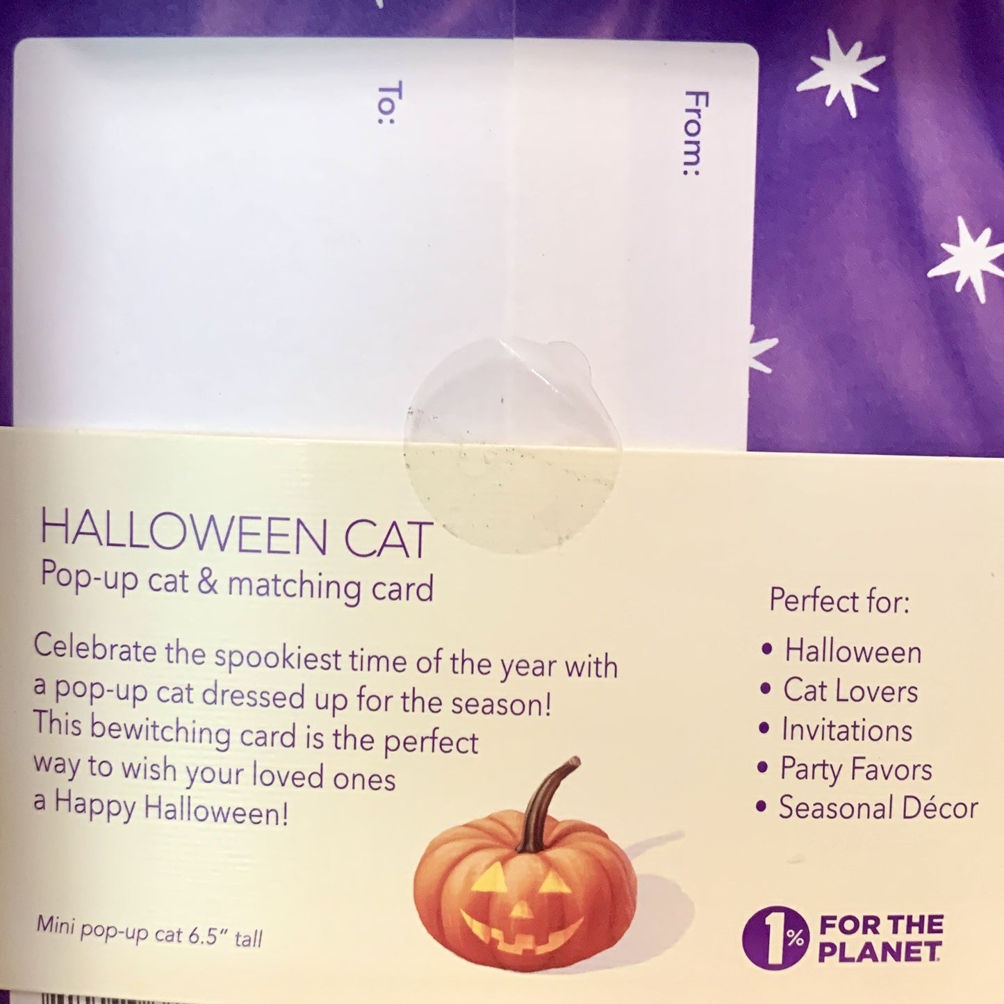 Pop up Greeting Cards 3D Halloween Black Cat In Witch Costume Popup Holiday Gift