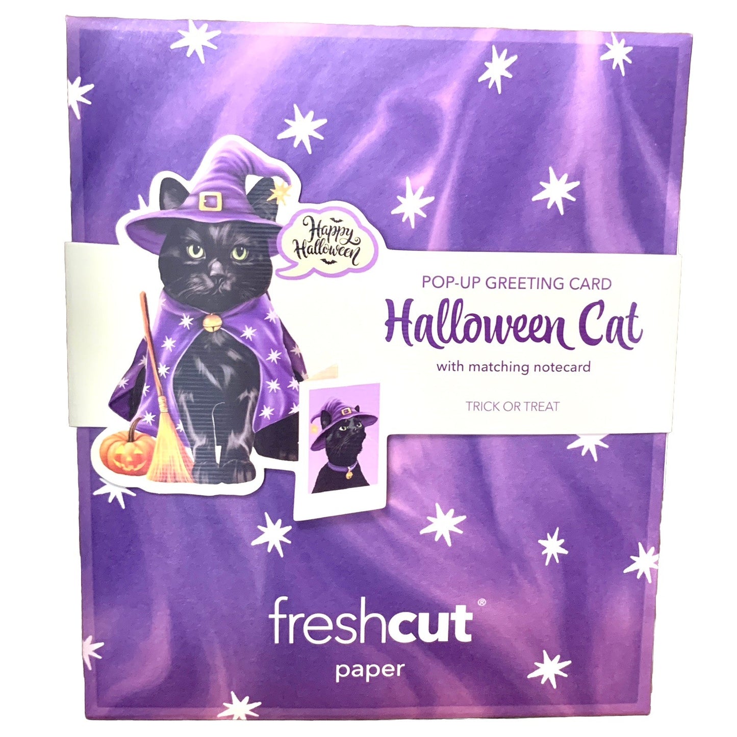 Pop up Greeting Cards 3D Halloween Black Cat In Witch Costume Popup Holiday Gift