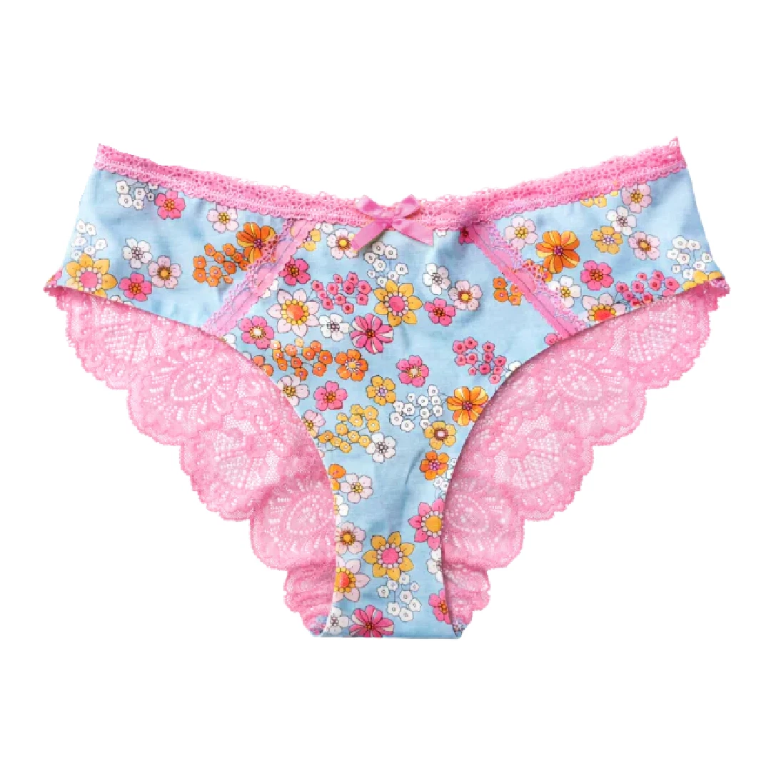 Splendies Maisie Pink Lace Bikini Panties Floral Lingerie Underwear New