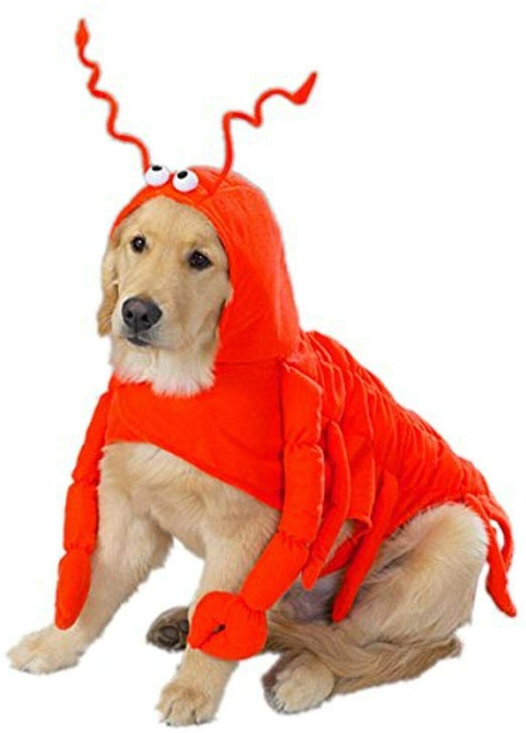 Dog Puppy Costume LOBSTER Claws Paws Orange Party Halloween Photos Plush Medium