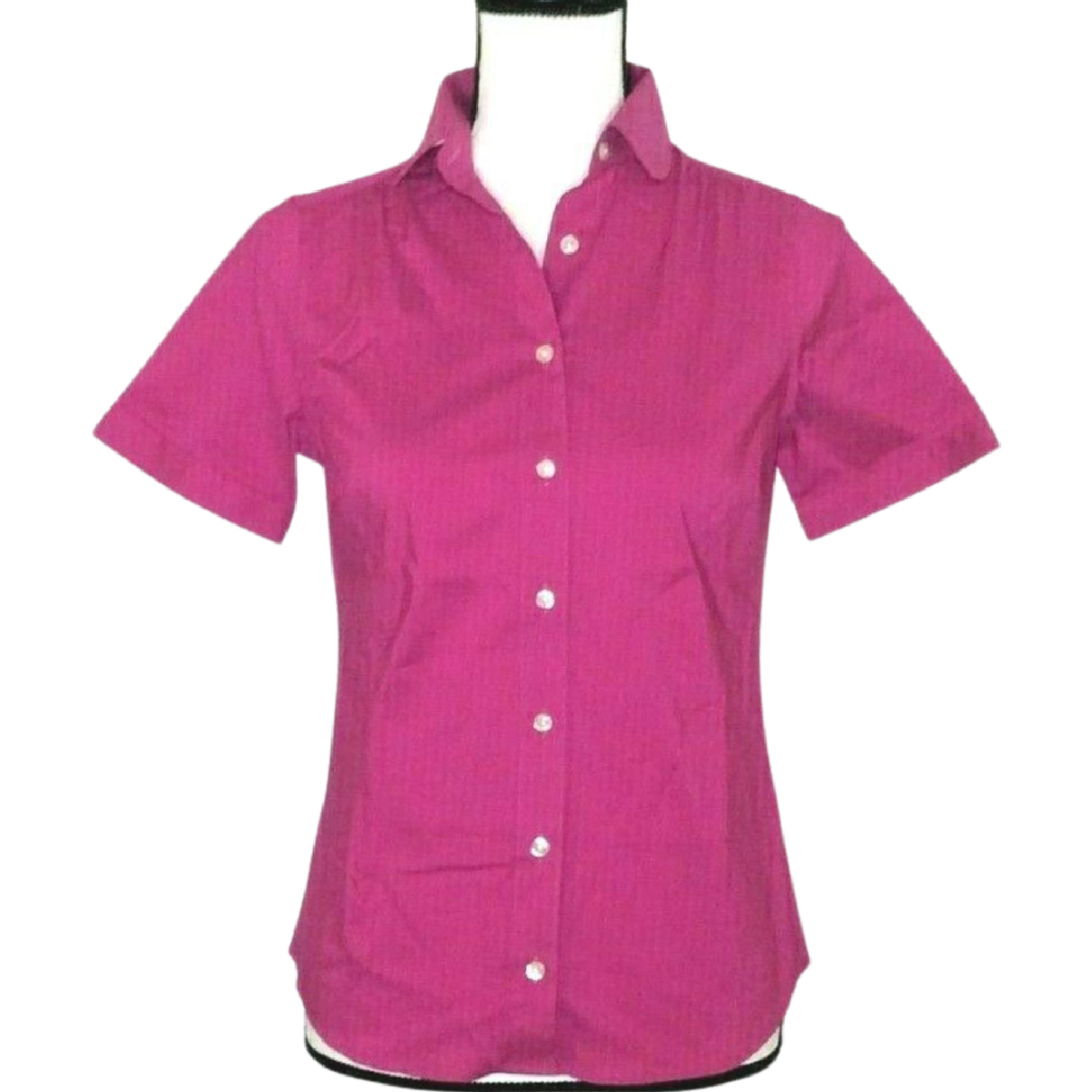 Lands' End Petite Shirts Size OOP Pink & Blue Lot of 2 NEW