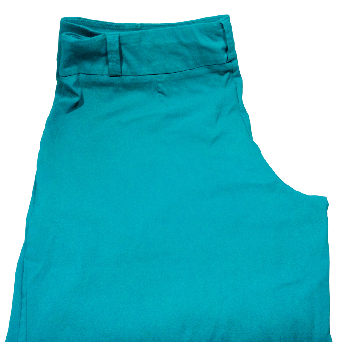 Lifestyle Attitude Capri Pants Turquoise Women's Size 22W Stretch Flat Front