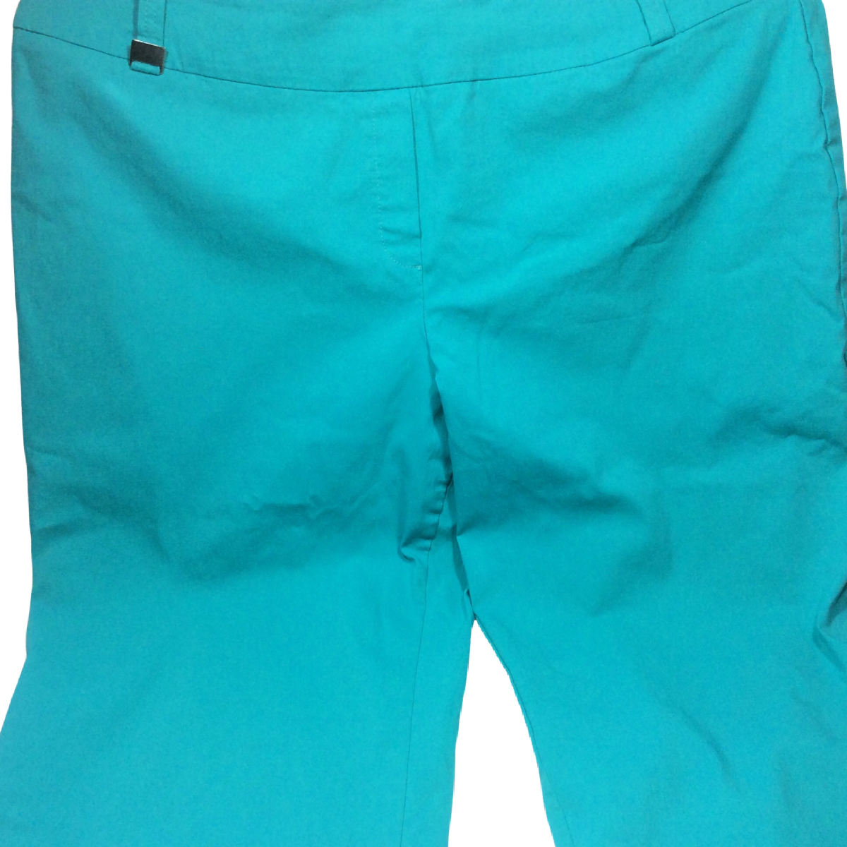 Lifestyle Attitude Capri Pants Turquoise Women's Size 22W Stretch Flat Front