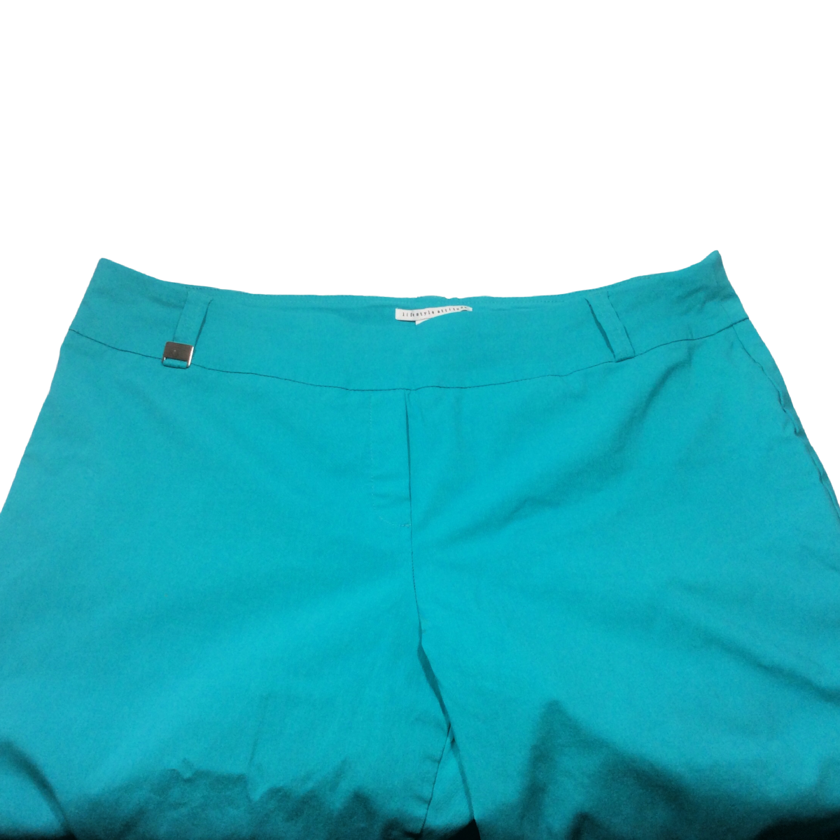 Lifestyle Attitude Capri Pants Turquoise Women's Size 22W Stretch Flat Front